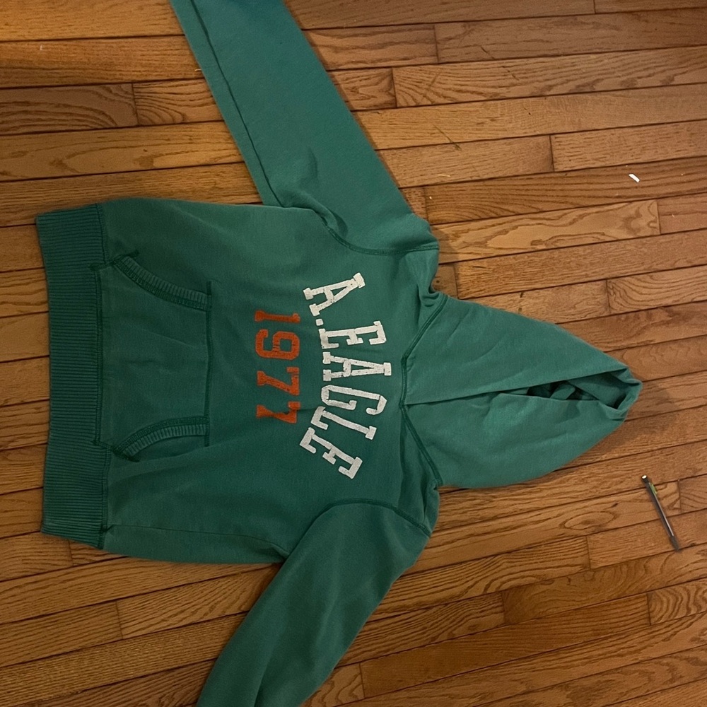 American Eagle Outfitters Forest Green Hoodie